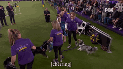 Happy Dog In Game GIF
