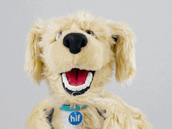 Happy Dog Mascot GIF