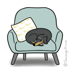Happy Dog Pet GIF