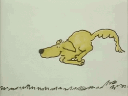 Happy Dog Running GIF