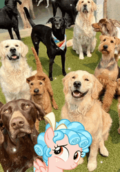 Happy Dog Smiling Day GIF