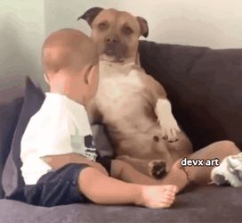 Happy  Dogs Hugging Baby GIF