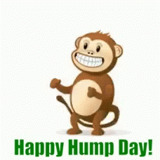 Happy Dry Hump Day Monkey GIF