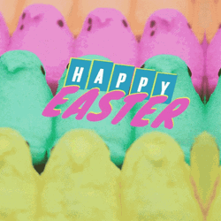 Happy Easter Chicks Peeps GIF