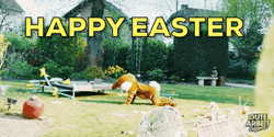 Happy Easter Funny Bunny Is Tired  GIF