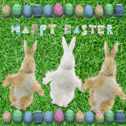 Happy Easter Funny Dancing Bunnies GIF