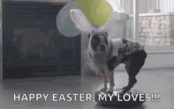Happy Easter Funny Dog Wearing Bunny Ears GIF
