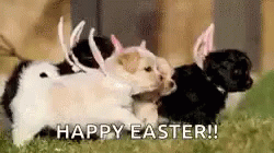 Happy Easter Little Puppies