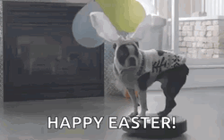 Happy Easter Sunday Boston Terrier Figurine GIF