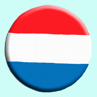 Happy Election Day Button GIF
