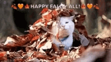 Happy Fall All Beautiful Cat GIF