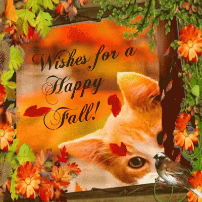 Happy Fall Happy October GIF