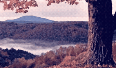 Happy Fall On Orange Background GIF