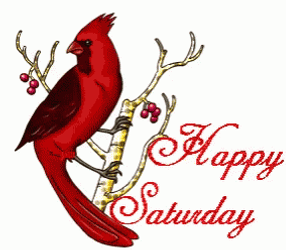 Happy Fall Saturday Bird On Tree Branch GIF
