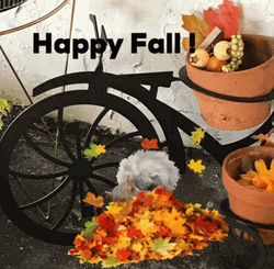 Happy Fall Saturday Squirrel Playing Leaves GIF