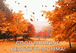 Happy Fall Sunday Beautiful Momma GIF
