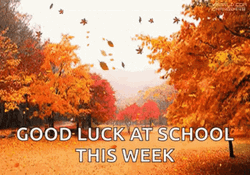 Happy Fall Sunday Good Luck At School This Week GIF