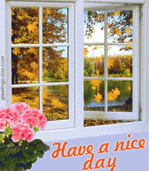 Happy Fall Sunday Have A Nice Day GIF