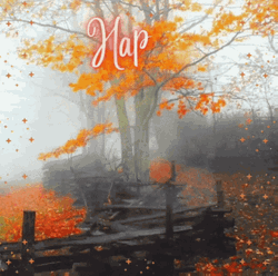 Happy Fall Sunday You All GIF