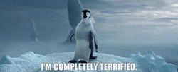 Happy Feet Im Completely Terrified GIF