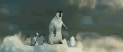 Happy Feet Mumble Jump Off Cliff GIF