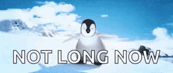 Happy Feet Not Long Now GIF