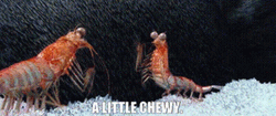 Happy Feet Shrimp A Little Chewy GIF