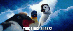 Happy Feet This Place Sucks GIF