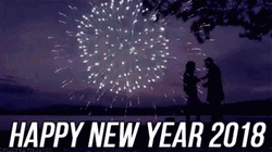 Happy Festivus New Year GIF