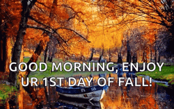 Happy First Day Of Fall Glittering Trees GIF