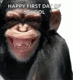 Happy First Day Of School Smiling Monkey GIF