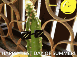 Happy First Day Of Summer Different Scenes GIF