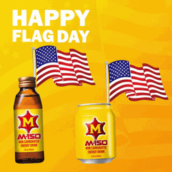 Happy Flag Independence Day GIF