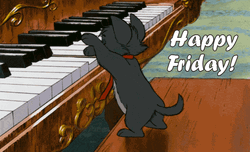 Happy Friday Funny Cat Playing Piano  GIF