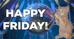 Happy Friday Funny Cat Trumpet GIF