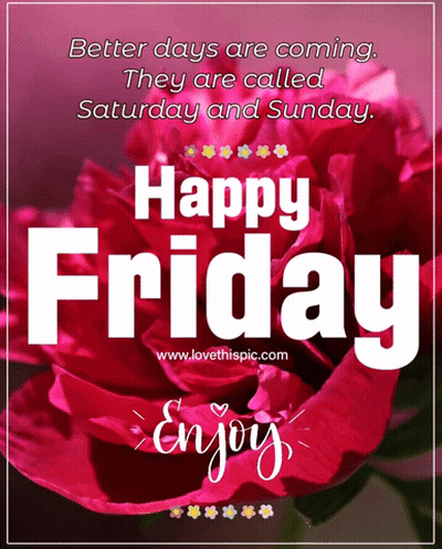 Happy Friday Greeting Card With Red Rose GIF