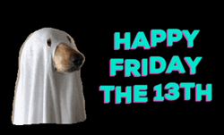 Happy Friday Halloween Ghost Dog Costume GIF