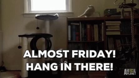 Happy Friday Jr Hang In There GIF