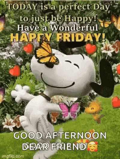 Happy Friday Perfect Day To Be Happy GIF