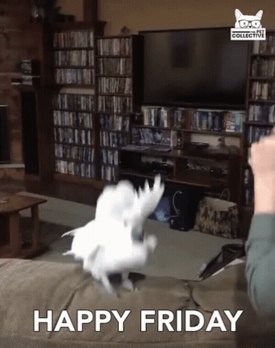 Happy Friday White Bird Flying GIF