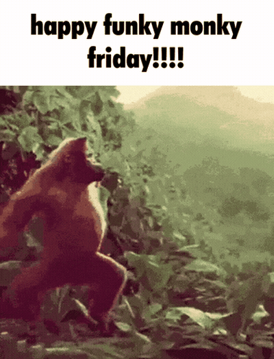 Happy Funky Monky Friday Monkey GIF