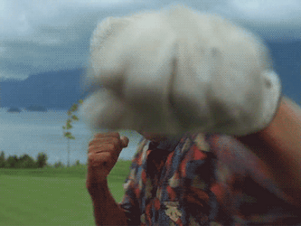 Happy Gilmore Bob Barker Air Punch With White Gloves GIF