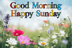 Happy Good Morning Different Garden Flowers GIF