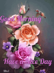 Happy Good Morning Flowers GIF