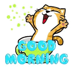 Happy Good Morning Happy Animated Cat GIF