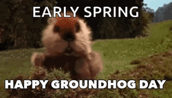 Happy Groundhog Day Early Spring GIF