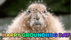 Happy Groundhog Day Retro GIF