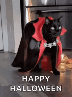 Happy Halloween 2023 GIF