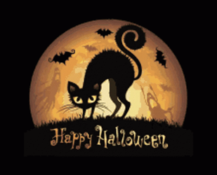 Happy Halloween Black Cat GIF