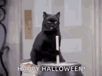 Happy Halloween Black Witch Cat GIF